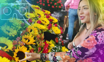 VR180 Flower Market Tour with Mexican Beauty Dzoara (Spanish) VR180 Flower Market Tour with Mexican Beauty Dzoara (Spanish)