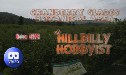 Cranberry Glades Botanical Area VR180 Cranberry Glades Botanical Area VR180