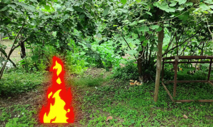 garden 3d test emoji VR Video garden 3d test emoji VR