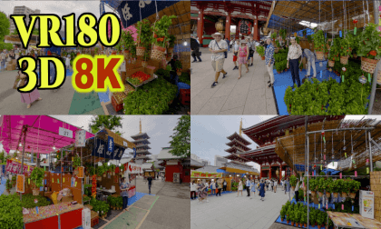 Lantern Plant Market 2024 at Asakusa Senso-ji in Tokyo,Japan