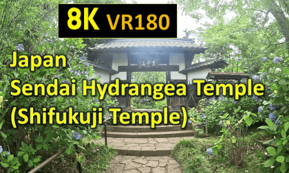 Japan  Sendai Hydrangea Temple (Shifukuji Temple) VR Video Japan  Sendai Hydrangea Temple (Shifukuji Temple) VR
