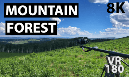 8K VR180 - Sunny Mountaintop Forest 8K VR180 - Sunny Mountaintop Forest