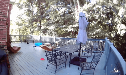 VR Test 6 Outside with the dogs VR Test 6 Outside with the dogs