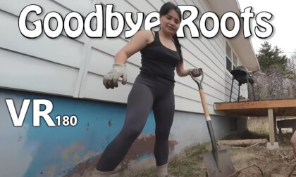 Removing roots in VR180 experience video