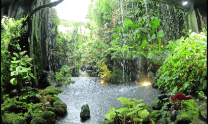 [VR180] Focus - Secret Garden, Singapore