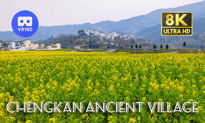 Beautiful canola flowers and ancient village in Anhui, China | 呈坎古镇 | 8K 3D 180 Beautiful canola flowers and ancient village in Anhui, China | 呈坎古镇 | 8K 3D 180