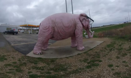 Pink Elephant statue Wisconsin VID_20240417_084845_00_024 VR Video Pink Elephant statue Wisconsin VID_20240417_084845_00_024 VR