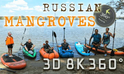 Russian Mangroves Russian Mangroves