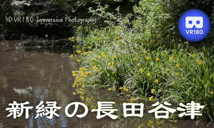 Nagata Yatsu in fresh green VR Video Nagata Yatsu in fresh green VR