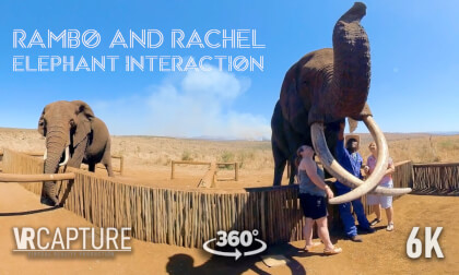 Elephant interactions  Rambo and Rachel VR Video Elephant interactions  Rambo and Rachel VR