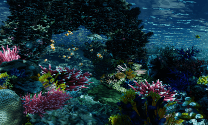 Coral_360 Coral_360