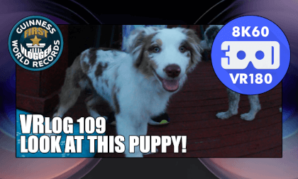 LOOK AT THIS PUPPY! (VRLOG109) LOOK AT THIS PUPPY! (VRLOG109)