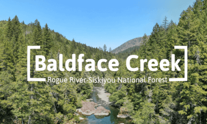 8k Immersive - Baldface Creek - VR 360° VR Video 8k Immersive - Baldface Creek - VR 360° VR