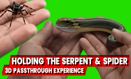 Holding the Serpent & Spider: A 3D Passthrough Experience Holding the Serpent & Spider: A 3D Passthrough Experience