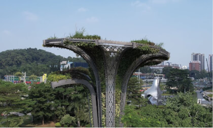 3D aerial video  flower bed guangzhou china VR Video 3D aerial video  flower bed guangzhou china VR