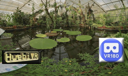 Plants 8K video clips VR Video Plants 8K video clips VR
