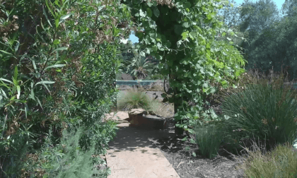 SDSU Native and Indigenous Healing Garden, Flat 3D VR Video SDSU Native and Indigenous Healing Garden, Flat 3D VR