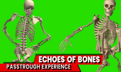 Echoes of Bones: The Skeleton Dance in Augmented Reality VR Video Echoes of Bones: The Skeleton Dance in Augmented Reality VR