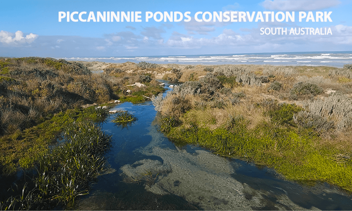 Piccaninnie Ponds Conservation Park - South Australia