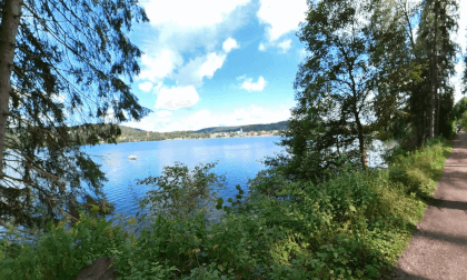 Explore Titisee in the Black Forest: 360° Hiking Adventure in South Germany - Lake Titi - Schwarzwald - Deutschland Explore Titisee in the Black Forest: 360° Hiking Adventure in South Germany - Lake Titi - Schwarzwald - Deutschland