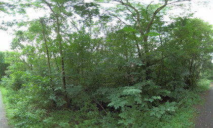 (rubbish quality?): 3 Minute Testvideo, walking along erlensee (8k, 360, mono) VR Video (rubbish quality?): 3 Minute Testvideo, walking along erlensee (8k, 360, mono) VR