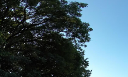 (Check DeoVR Quality and Bitrate) Ducklings on pit lake VR Video (Check DeoVR Quality and Bitrate) Ducklings on pit lake VR