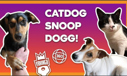 CATDOG SNOOP DOGG! Animal ASMR 360 VR Video VR Video CATDOG SNOOP DOGG! Animal ASMR 360 VR Video VR