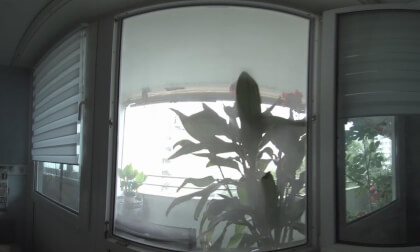 Video 2024-08-08, 06:56 VR Video Video 2024-08-08, 06:56 VR