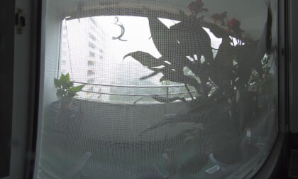 Video 2024-08-08, 07:00 VR Video Video 2024-08-08, 07:00 VR