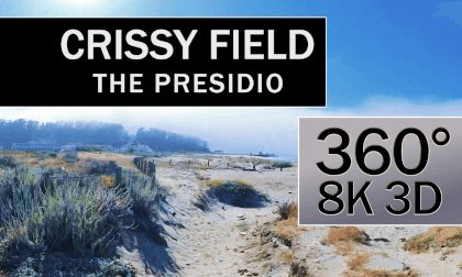 Crissy Field, San Francisco, CA Crissy Field, San Francisco, CA