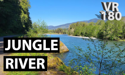 Jungle River - VR180 VR Video Jungle River - VR180 VR