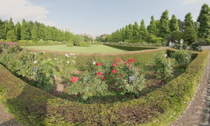 Shinjuku Gyoen, Shijuku, Japan VR Video Shinjuku Gyoen, Shijuku, Japan VR