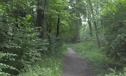 Walk with  me @round Erlensee (Bickenbach) (8k 360 3d 60fps) VR Video Walk with  me @round Erlensee (Bickenbach) (8k 360 3d 60fps) VR