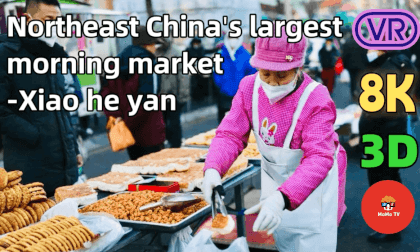 沈阳小河沿早市  Early Morning Market in Shenyang, China 沈阳小河沿早市  Early Morning Market in Shenyang, China