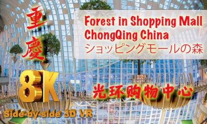 China - 光环购物公园 Forest in a Shopping Mall in ChongQing China, 8K 3D VR China - 光环购物公园 Forest in a Shopping Mall in ChongQing China, 8K 3D VR