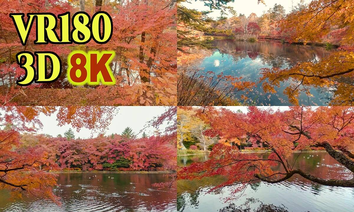 Autumn leaves at Kumobaike-Pond in Karuizawa,NAGANO,JAPAN