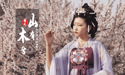 Traditional Chinese Dance - Mountains Have Woods VR Video Traditional Chinese Dance - Mountains Have Woods VR