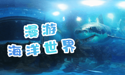 Store Exploration - Aquarium Store Exploration - Aquarium