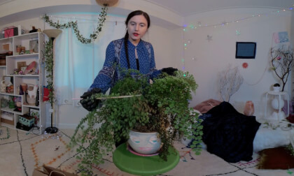 ASMR Caring for your fern hair