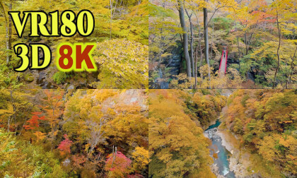 Autumn leaves at Agatsuma-kyo Valley,Gunma,Japan VR Video Autumn leaves at Agatsuma-kyo Valley,Gunma,Japan VR