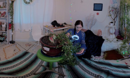 ASMR Caring for your jade plant hair VR Video ASMR Caring for your jade plant hair VR