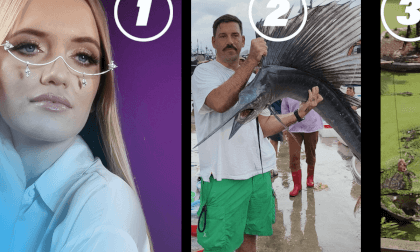 VR Genres VR Video VR Genres VR