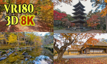 Autumn leaves in Tono,Iwate,Japan VR Video Autumn leaves in Tono,Iwate,Japan VR