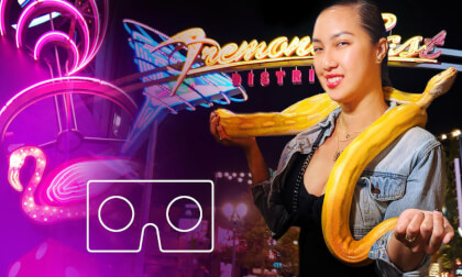 Snakes in Las Vegas Snakes in Las Vegas