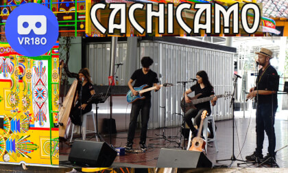 Cachicamo Latin Harp at Brisbane City Sounds