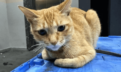 2024-05-05 105111_0_0_RIGHT_ONLY_05_v1.4.11_SBS VR Video 2024-05-05 105111_0_0_RIGHT_ONLY_05_v1.4.11_SBS VR