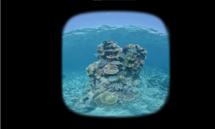 Kenji Demo Kenji Demo