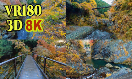 Autumn leaves in Hatonosu Valley,TOKYO,Japan
