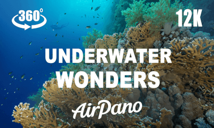 Underwater Wonders, Red Sea, Egypt. 8K 360 video Underwater Wonders, Red Sea, Egypt. 8K 360 video