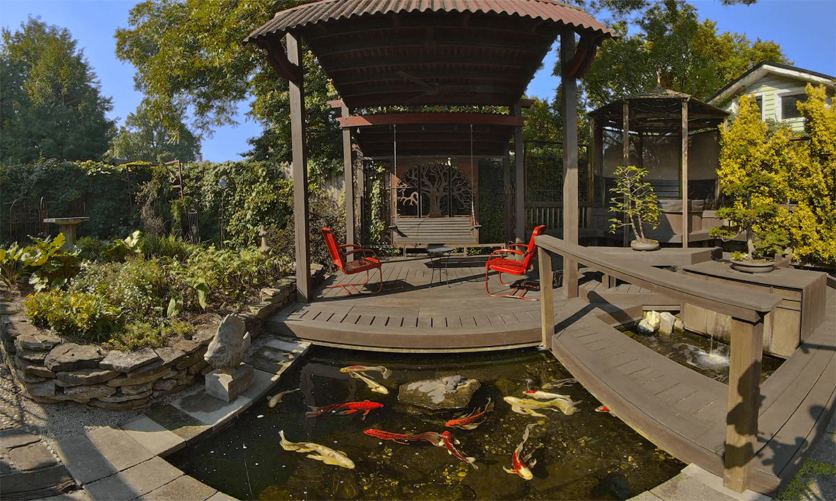 The Immersive Koi Pond Serenity